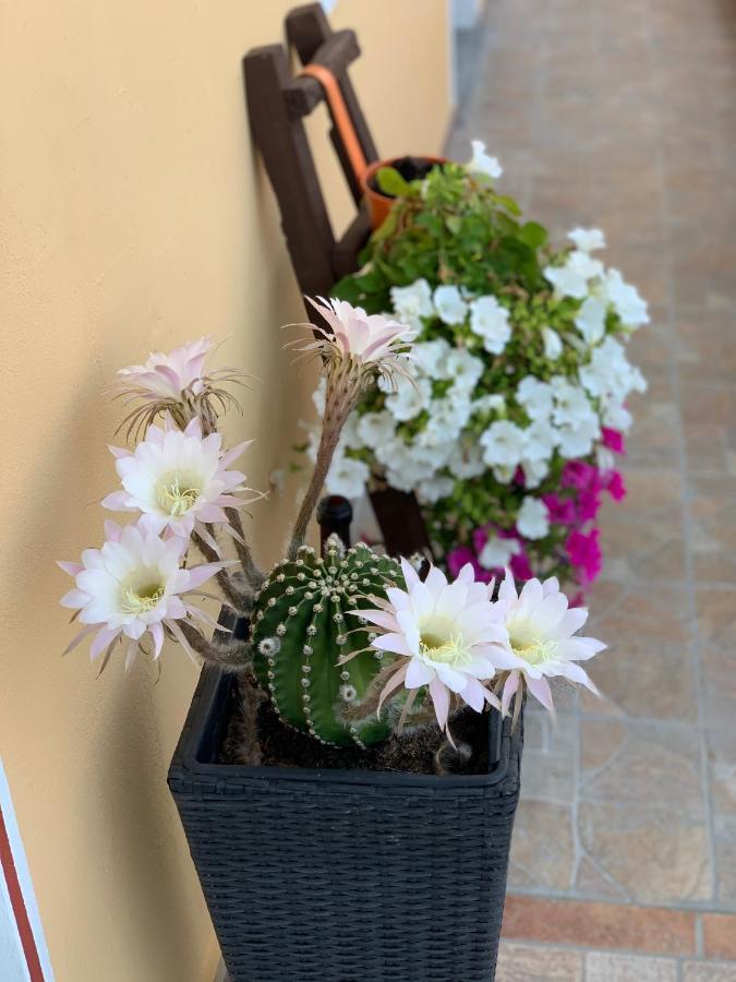 Bb Borgo Biella Bed & Breakfast Candelo Exterior foto